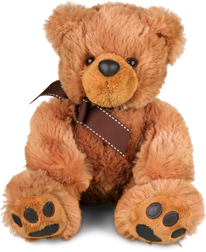 Teddy Bear Toy 